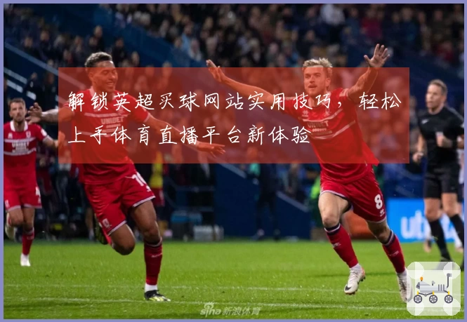 解锁英超买球网站实用技巧，轻松上手体育直播平台新体验